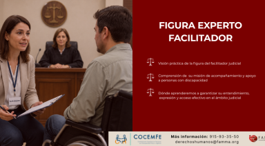 Personal experto facilitador de apoyo en juzgados a personas con discapacidad
